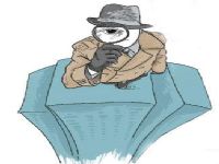 张家川取证公司解说第三者承担离婚赔偿责任吗